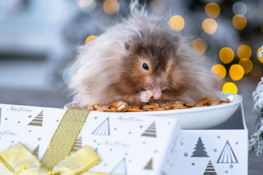 Similar image 22436769