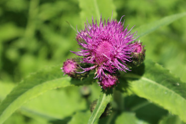 Similar image 22442643