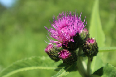 Similar image 22442673