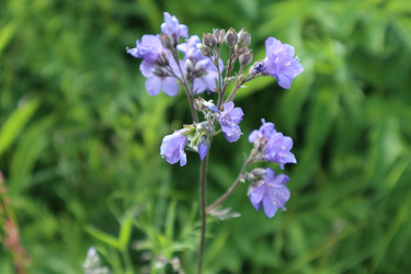 Similar image 22442678