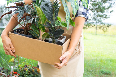 Similar image 22416795