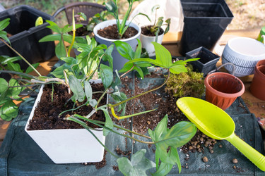 Similar image 22416796