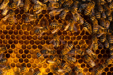 Similar image 22416797