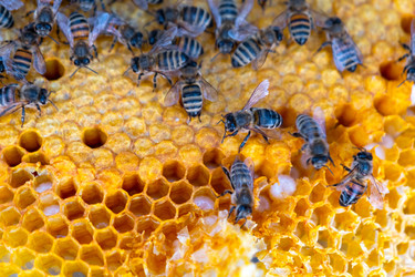 Similar image 22416799