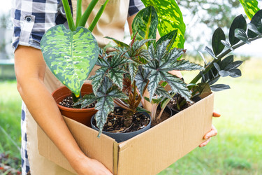 Similar image 22416806