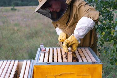 Similar image 22416813