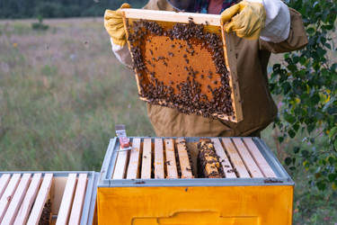 Similar image 22416815