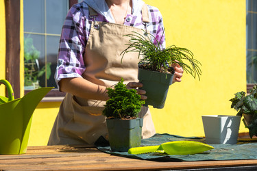 Similar image 22416822