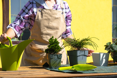 Similar image 22423140