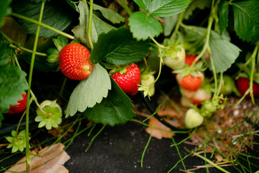 Similar image 22427631