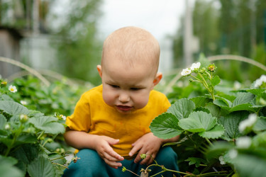 Similar image 22427632