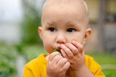 Similar image 22427633