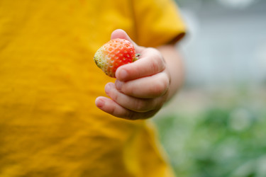 Similar image 22427634