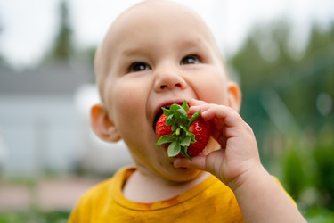 Similar image 22427636