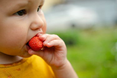 Similar image 22427637