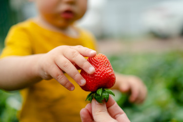 Similar image 22427638