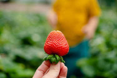 Similar image 22427639