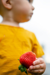 Similar image 22427640