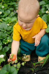 Similar image 22427641