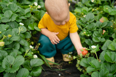 Similar image 22427642