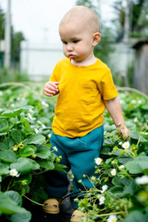 Similar image 22427643