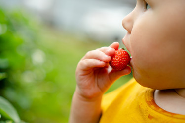 Similar image 22427644