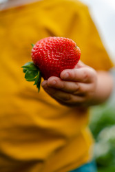 Similar image 22427645