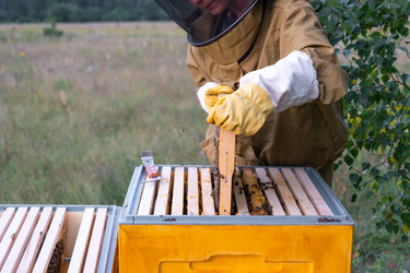 Similar image 22416708