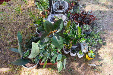 Similar image 22413957