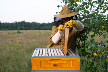 Similar image 22416709