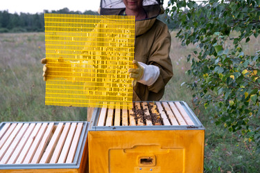 Similar image 22416714