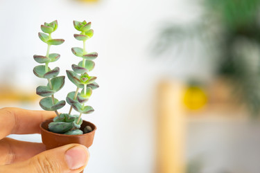 Similar image 22413959