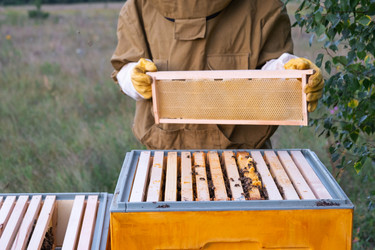 Similar image 22416722