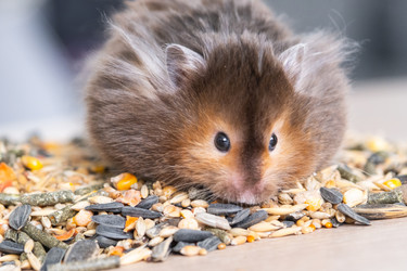 Similar image 22413962