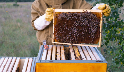 Similar image 22416731