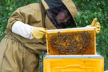 Similar image 22416732