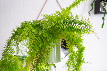 Similar image 22416735