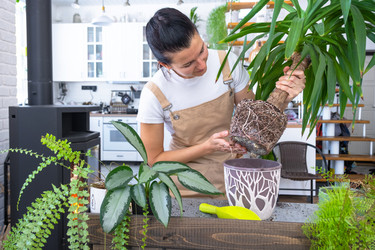 Similar image 22416736