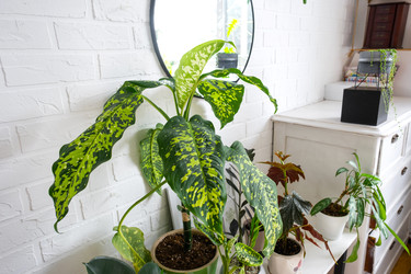 Similar image 22416738