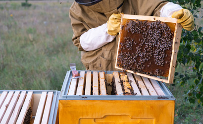 Similar image 22416742