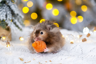 Similar image 22416743