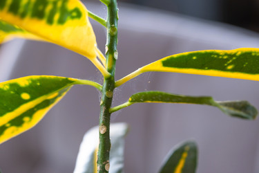 Similar image 22416744