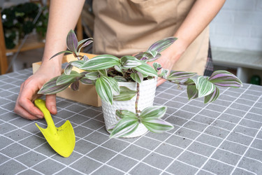 Similar image 22416747