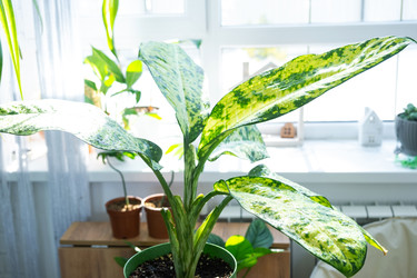 Similar image 22416748