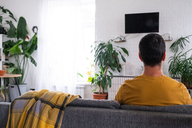 Similar image 22416750