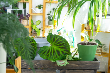 Similar image 22416753