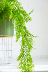 Similar image 22416754