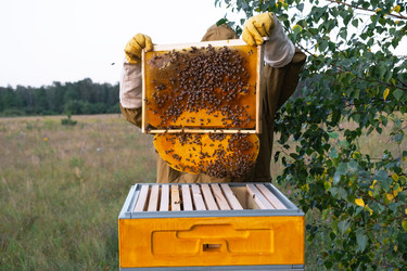 Similar image 22416755