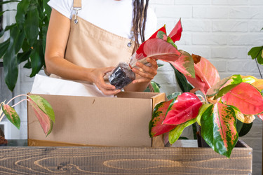 Similar image 22416756