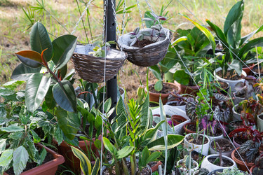 Similar image 22416759